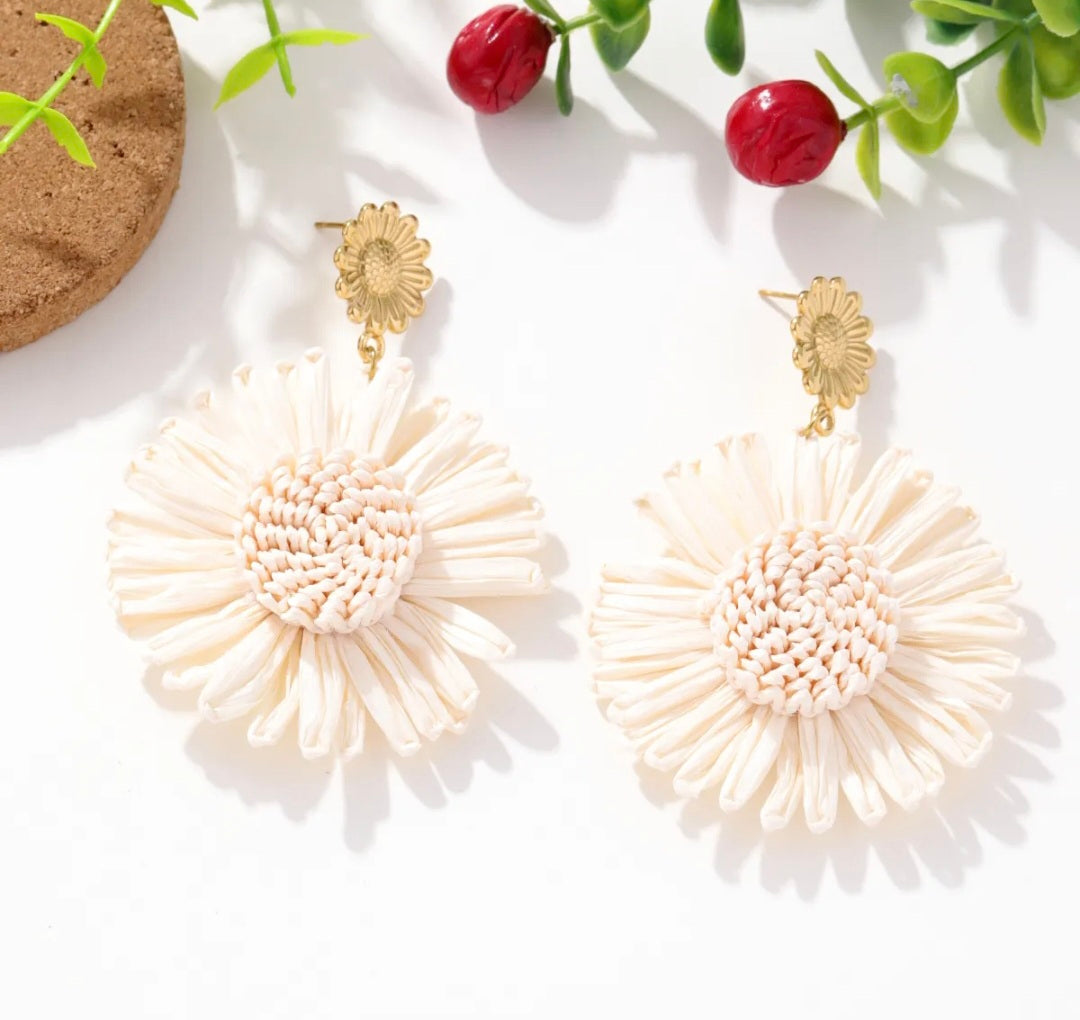 Boucles d'oreilles pailles